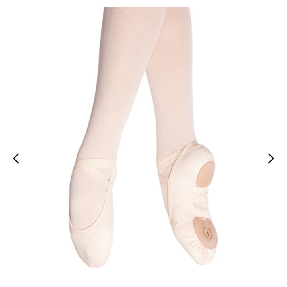 Brand new ballet slippers